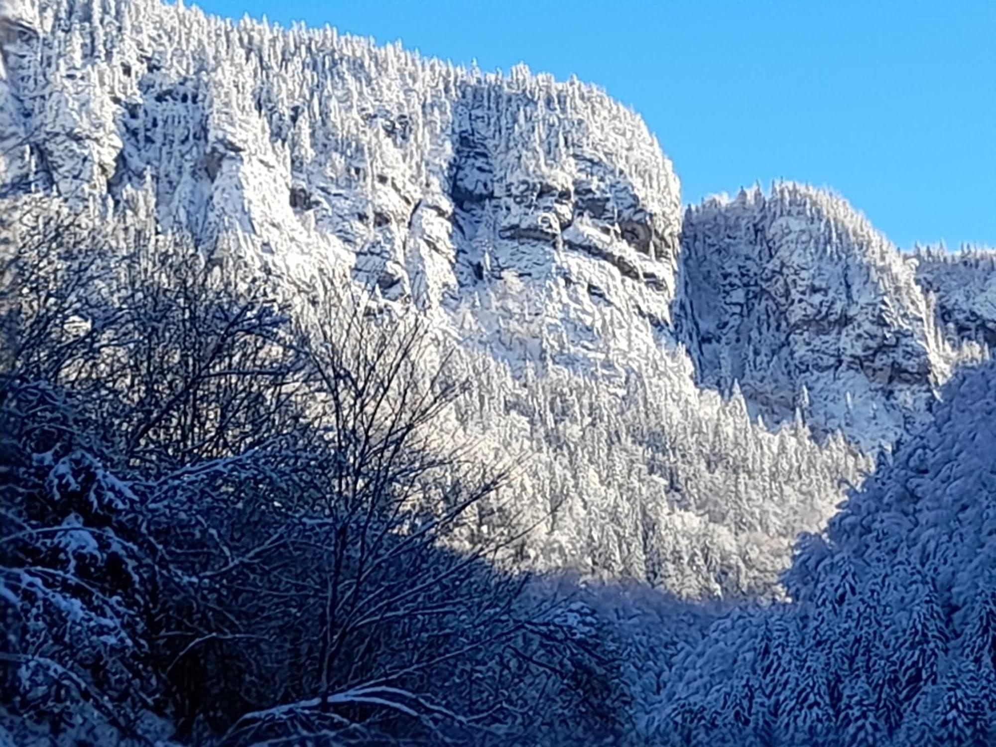 Appartement La Marmotte